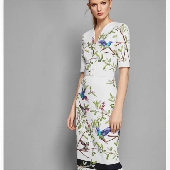Ted Baker Evrely midi dress It’s Spring! Hummingbirds! Midi Dress Sz 4 = USA 10 - Picture 7 of 14